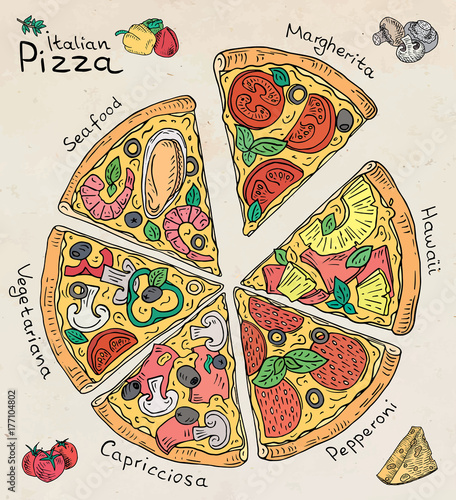 Beautiful illustration of Italian Pizza. Six slices of Margarita, Hawaii, Pepperoni, Vegetarian and Seafood pizza