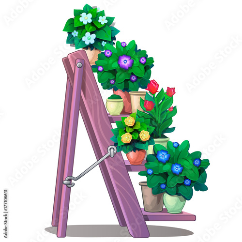 Set of decorative plants in pots on stairs shelves. Vector Illustration flowers in cartoon style isolated on white background