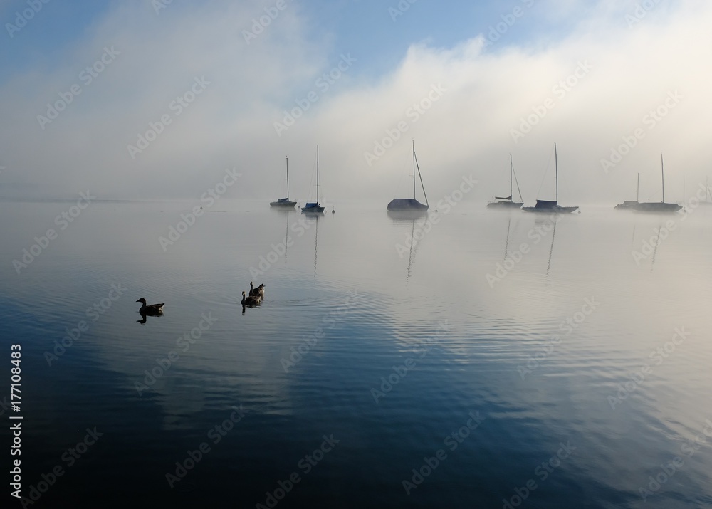 foggy morning landscape / scenics / sailing / boat / early / lake foggy morning landscape / scenics / sailing / boat / early / lake