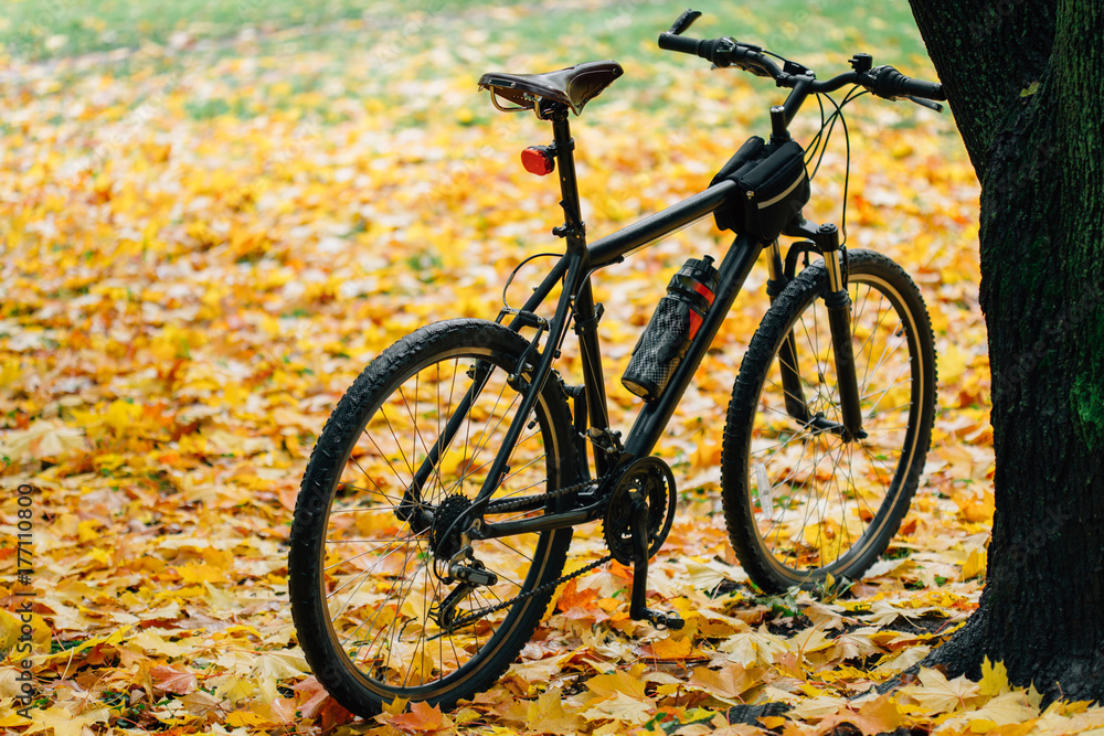 Bicycle standing on sports ground in colorful autumn park. Fall season background