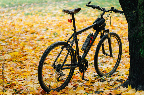 Bicycle standing on sports ground in colorful autumn park. Fall season background © beatleoff