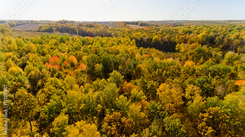 Aerial view of the colorful autumn forest.
