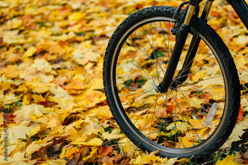 Bicycle standing on sports ground in colorful autumn park. Fall season background © beatleoff