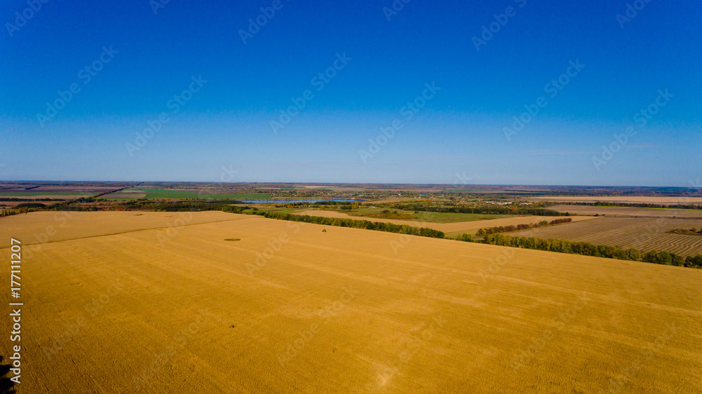 Fototapeta premium Autumn landscape: blue sky, colorful trees, yellow fields. Aerial view.