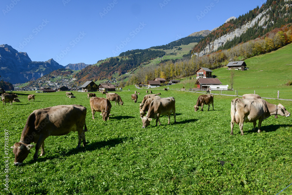 Rural landscape at the village of Engelberg on Switzerland Rural landscape at the village of Engelberg on Switzerland