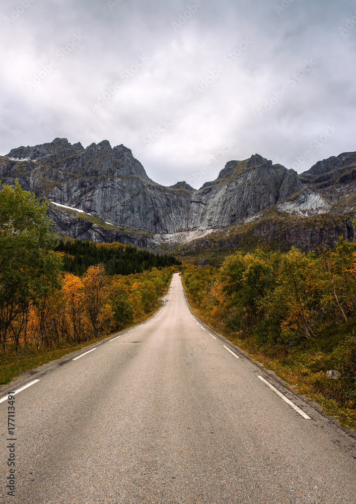Naklejka premium Scenic road on Lofoten islands in Norway on a sunny autumn day