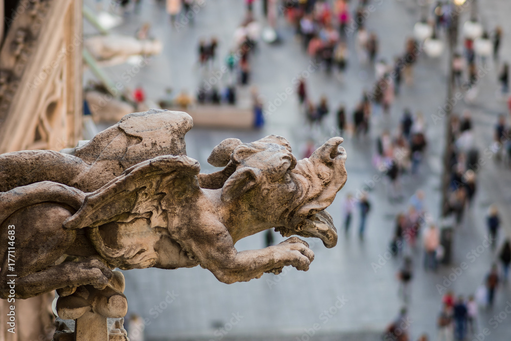 Gargoyle, view from the roof of the Cathedral of Duomo in Milan