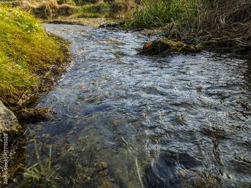 Fotografie little river. stream