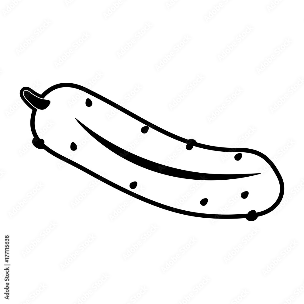 Cucumber fresh vegetable icon vector illustration graphic design Cucumber fresh vegetable icon vector illustration graphic design