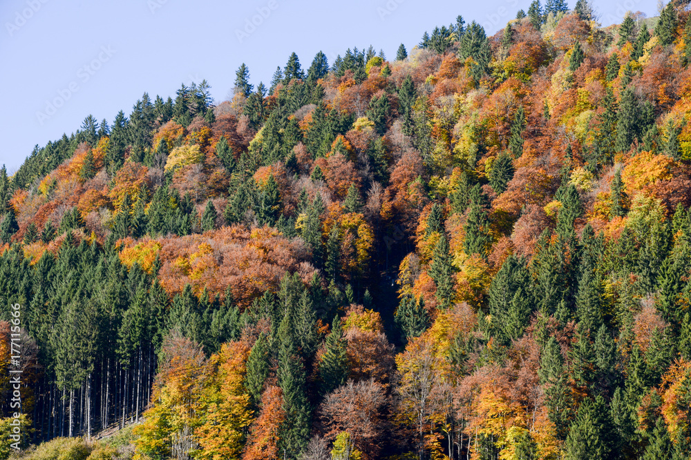 Autumn landscape of Engelberg on Switzerland Autumn landscape of Engelberg on Switzerland
