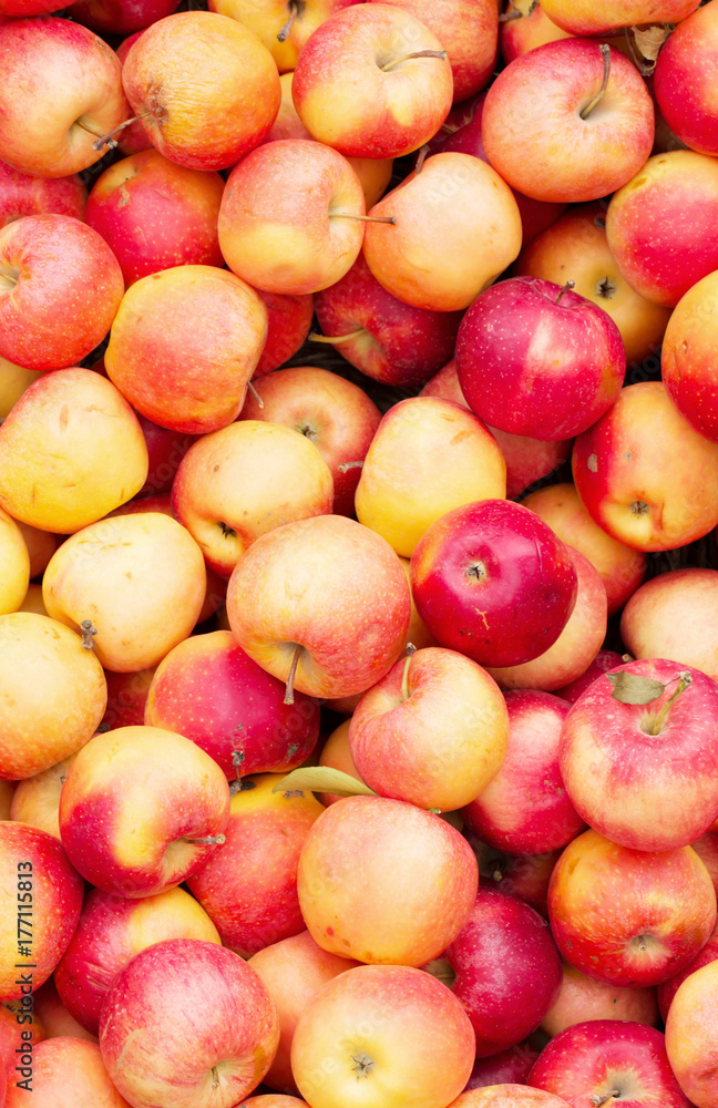 Basket with apples, apples, pattern, garden, autumn, crop, vertical, soft selective focus Basket with apples, apples, pattern, garden, autumn, crop, vertical, soft selective focus