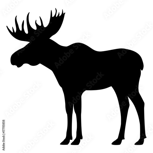 Vector black silhouette moose with horns