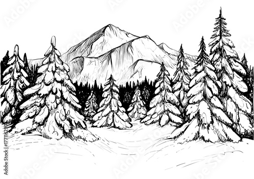 Winter forest in mountains, sketch. Vector hand drawn illustration of snowy firs and mountain peak.