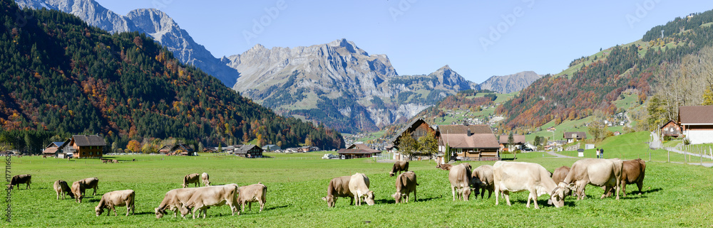 Rural landscape at the village of Engelberg on Switzerland