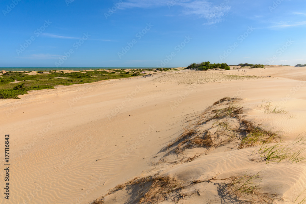 Vista das Dunas de Itaúnas, Conceição da Barra, Espírito Santo, Brasil. Vista das Dunas de Itaúnas, Conceição da Barra, Espírito Santo, Brasil.