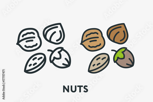 Nuts Vegetarian Concept. Hazelnut, Almond, Peanut, Walnut Minimal Flat Line Outline Colorful and Stroke Icon Pictogram