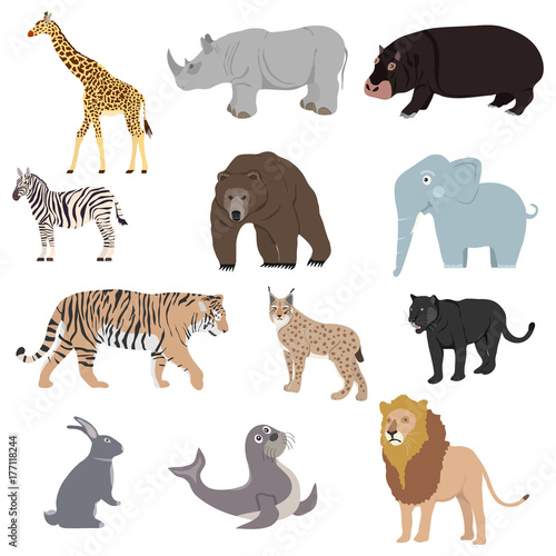 Animals  set of animals. Rhinoceros  lion  panther  lynx  giraffe  bear  zebra