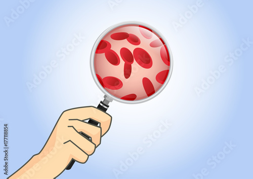 Hand holding magnifying glass for looking red blood cells. Illustration about health and medical.