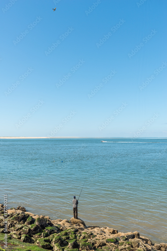 Dune du Pyla (Bassin d'Arcachon, France), vue sur le banc d'Arguin Dune du Pyla (Bassin d'Arcachon, France), vue sur le banc d'Arguin