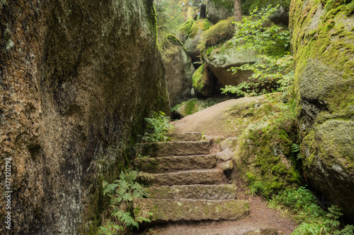Huge rocks in the forest