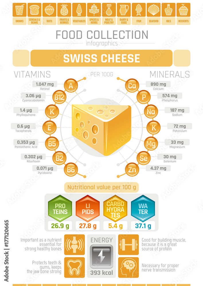 Food infographics poster, swiss hard cheese dairy vector illustration