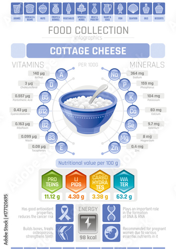 Food infographics poster, cottage cheese dairy vector illustration. Healthy eating icon set, diet design elements, vitamin mineral supplement chart, protein, lipid, carbohydrates, diagram flat flyer.