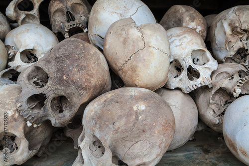 Killing Fields