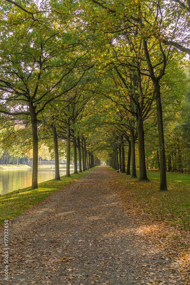 Naklejka premium Autumnal impressions in a park, the Karlsaue in Kassel, Germany