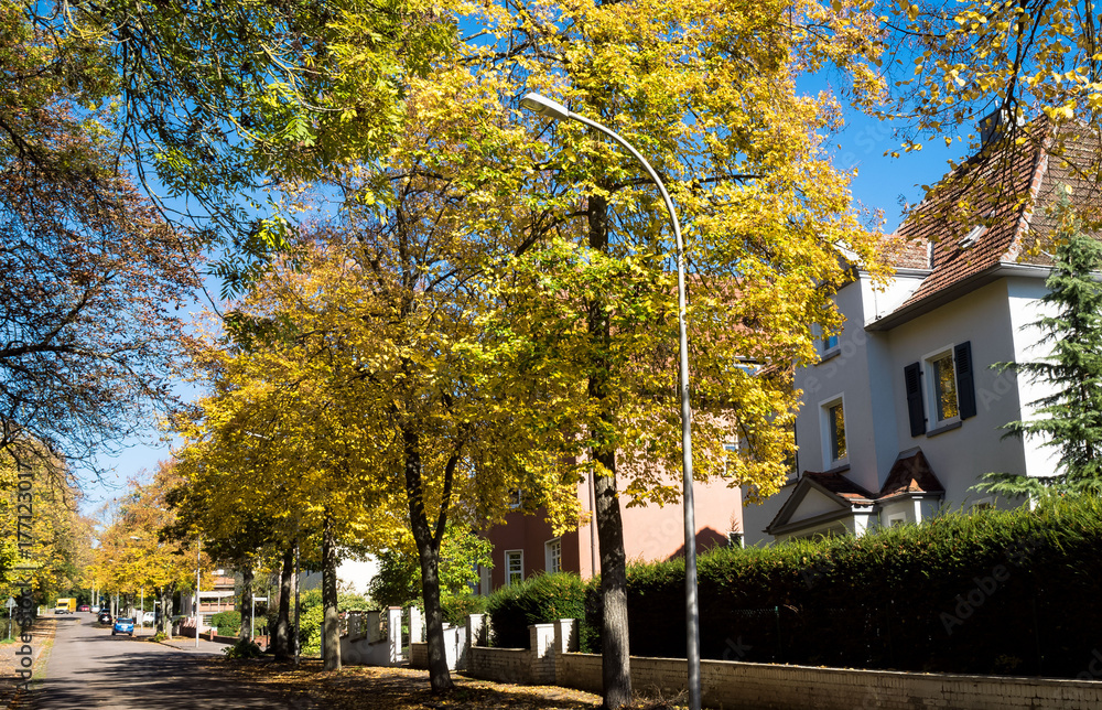 Naklejka premium Baumreihe