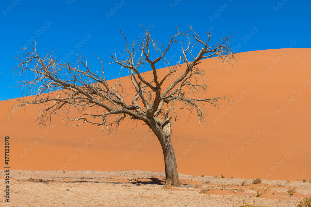 Sossusvlei, Dünen-Landschaft in Namibia Sossusvlei, Dünen-Landschaft in Namibia