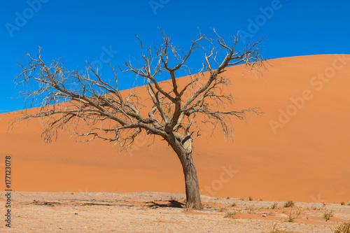Sossusvlei, Dünen-Landschaft in Namibia