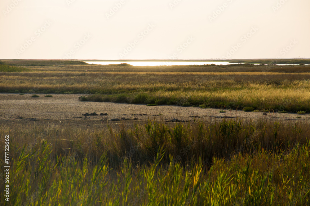 View on the Sivash lake, Ukraine