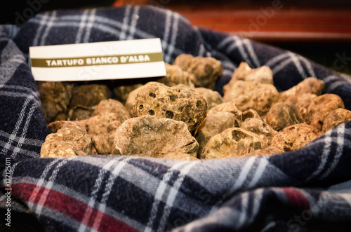 White Truffles (Tuber Magnatum Pico) on a trader stall of the Fiera del Tartufo (Truffle Fair) of Alba, Piedmont (Italy), most important international truffle market in the world