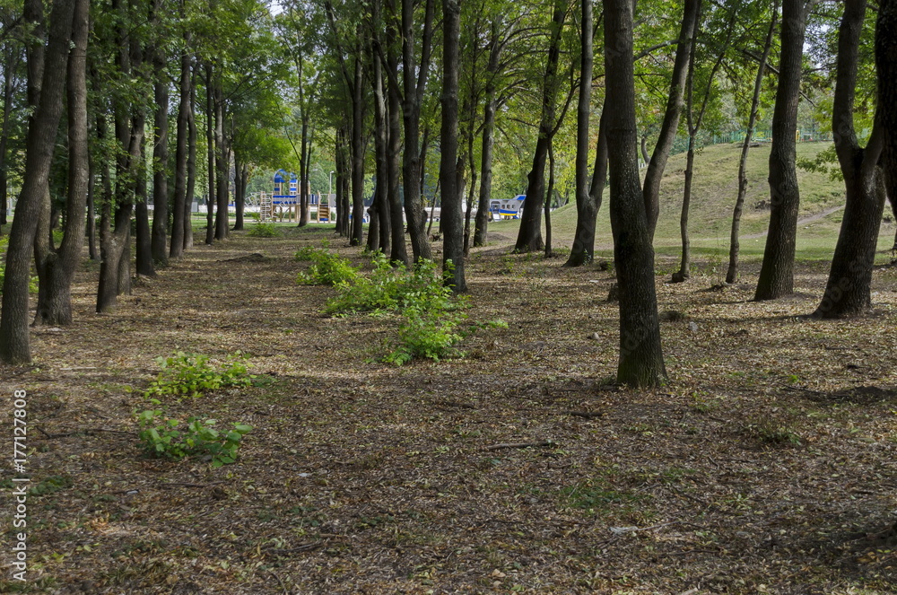 Popular North park for rest with autumnal old forest in Vrabnitsa district, Sofia, Bulgaria Popular North park for rest with autumnal old forest in Vrabnitsa district, Sofia, Bulgaria