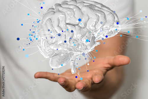 brain