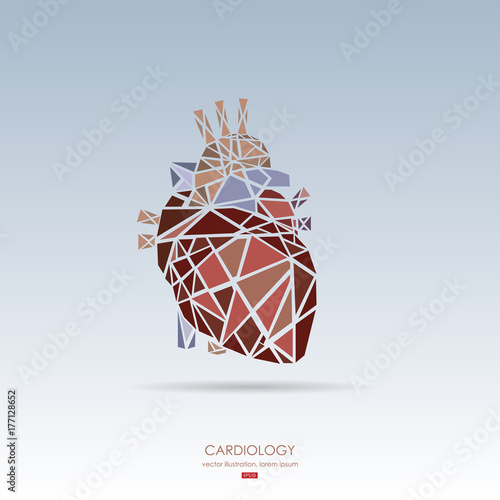 Human heart icon. Vector illustration.