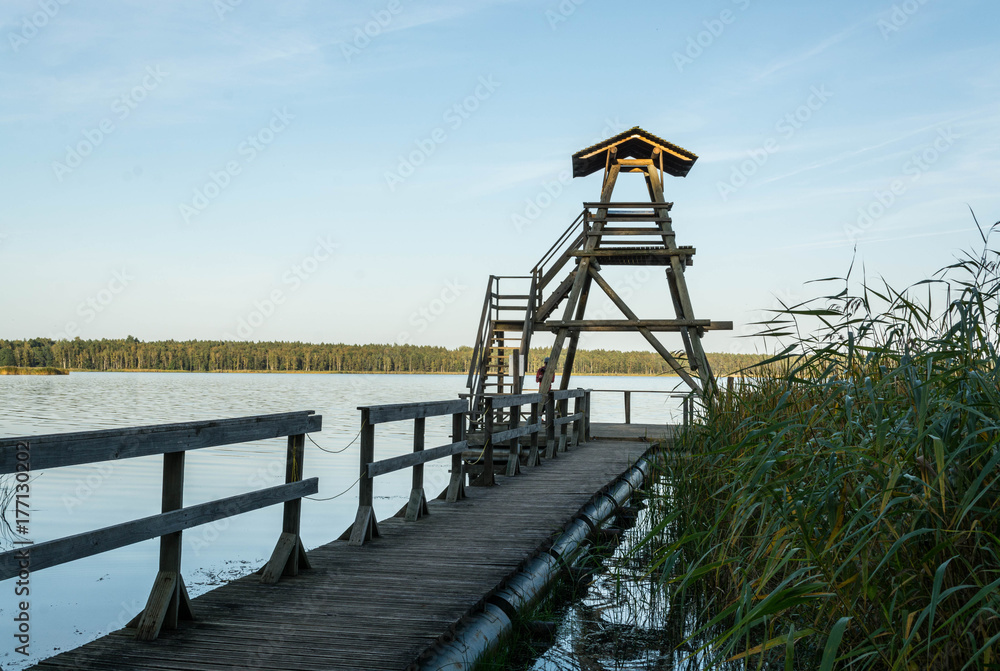  Wooden tower to watch birds on Sloka lake at sunset. Kemeri national park, Latvia.