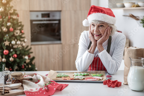 Happy mature lady waiting for grandchildren with holiday cookies