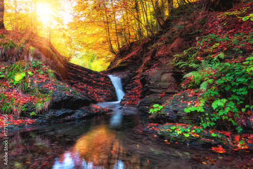 Fotografie, Tablou Colorful autumn landscape, mountain creek with small waterfall in the rocky cany