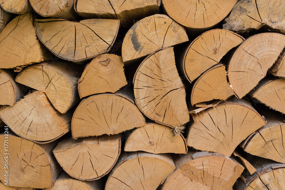 Wooden wall from group of beechwood with cross-section Wooden wall from group of beechwood with cross-section