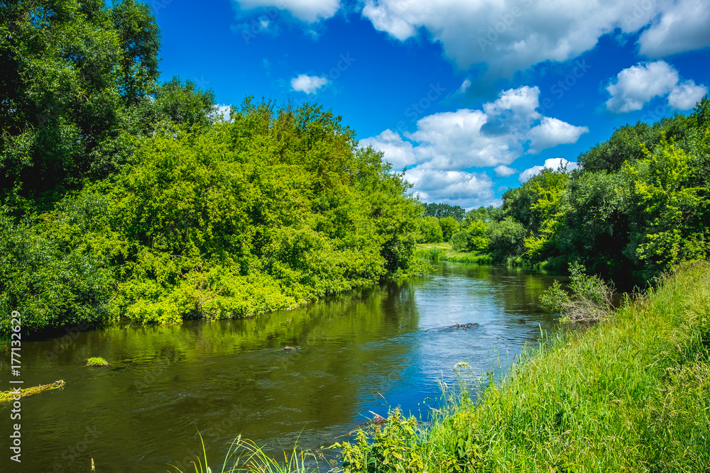 Picturesque landscape