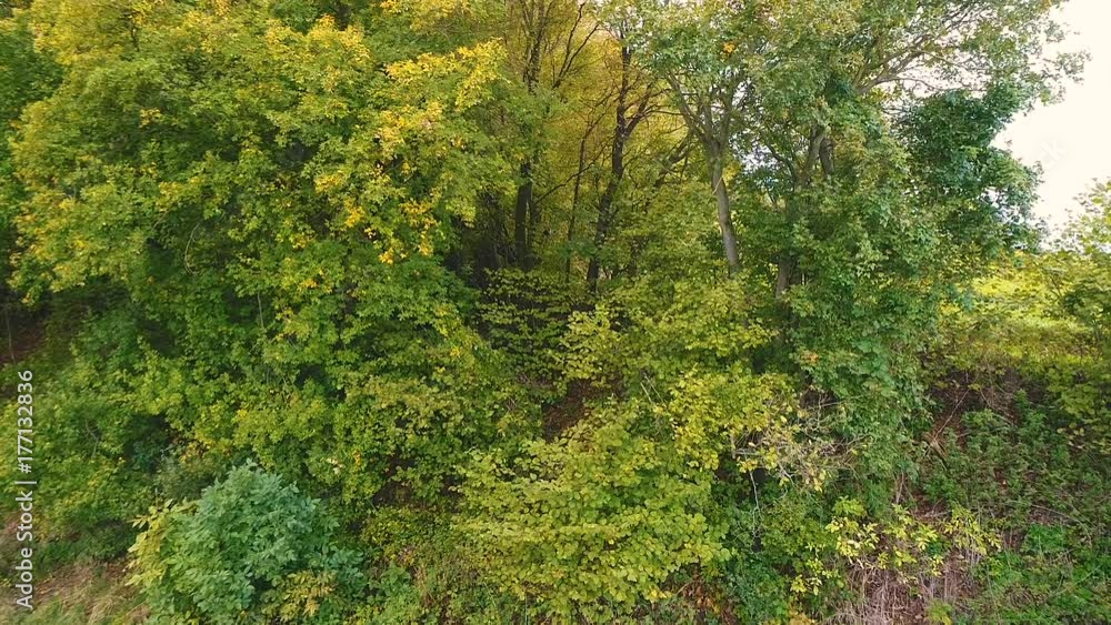 Aerial drone view of colorful, wonderful, amazing, autumn forest, wienerwald, lower-austria Aerial drone view of colorful, wonderful, amazing, autumn forest, wienerwald, lower-austria