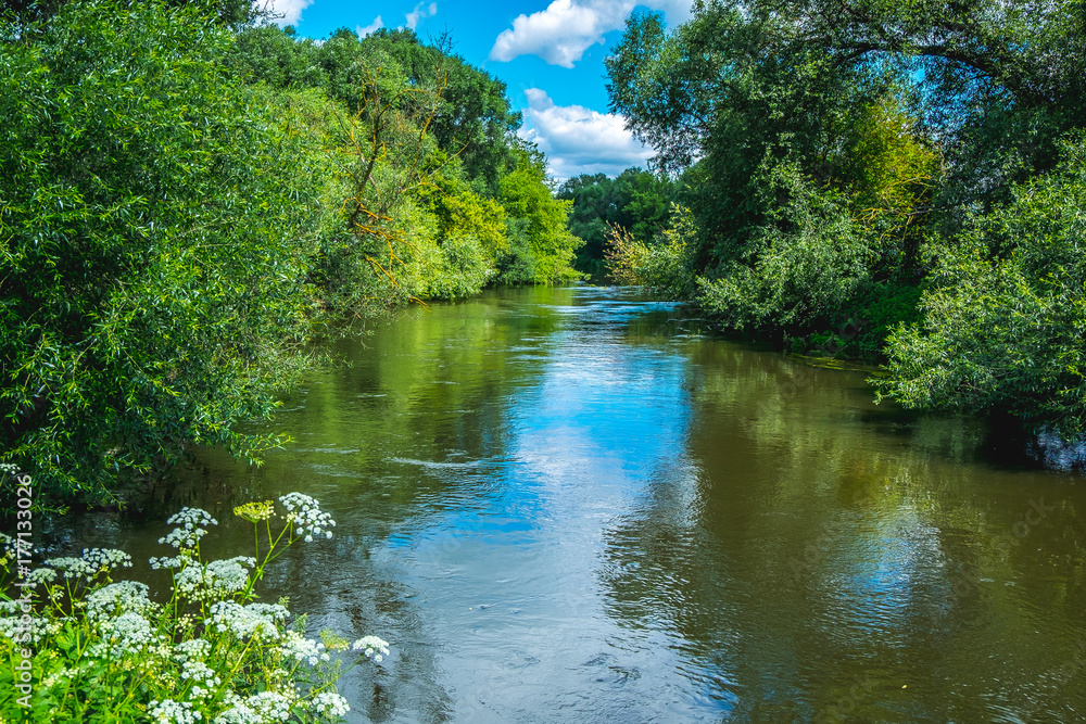 Picturesque landscape