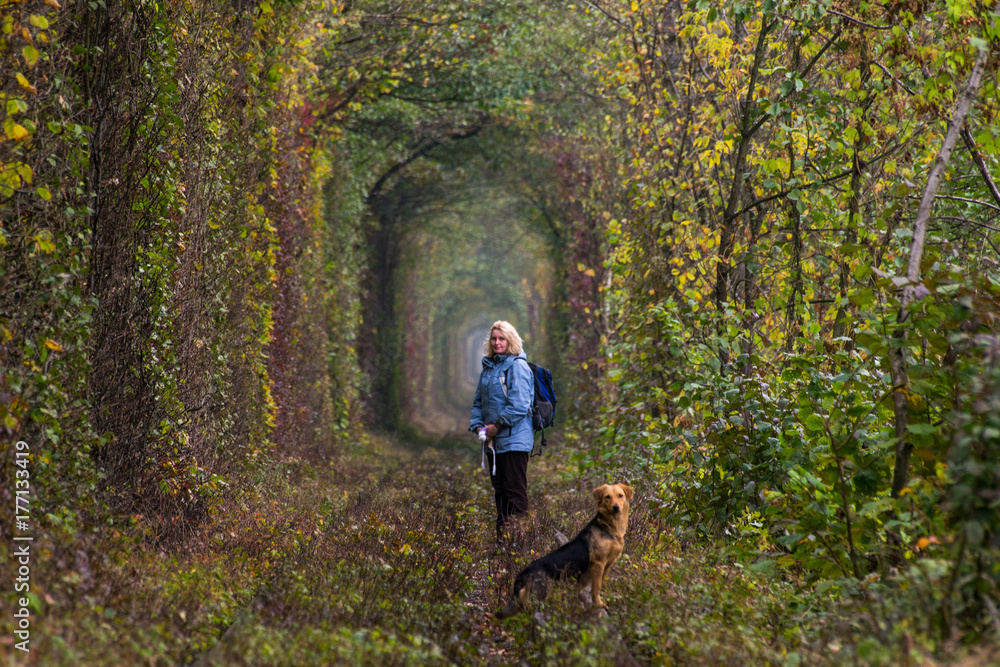 The real natural wonder - love tunnel created from trees along the railway in Ukraine, Klevan. Autumn in Ukraine