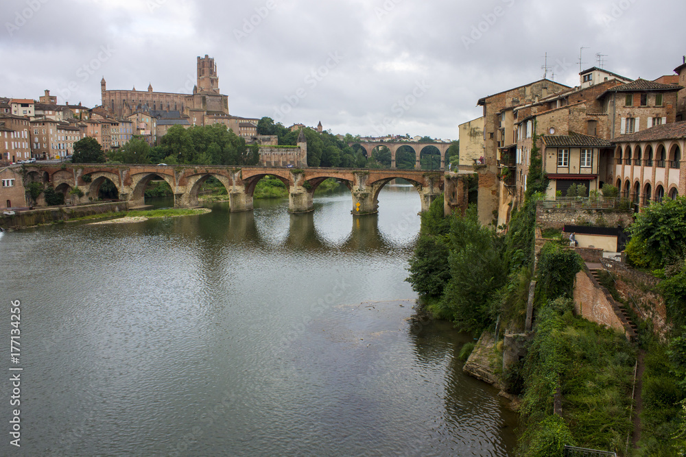 View of the Episcopal City of Albi and the River Tarn. Albi, France