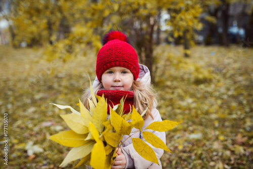 cute girl knitted hat holding autumn leaves