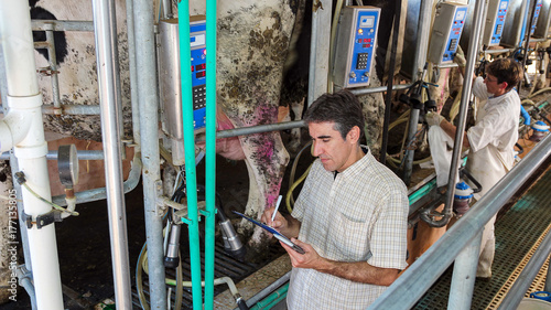 Billede på lærred Man Writing On Clipboard in Milking Parlor