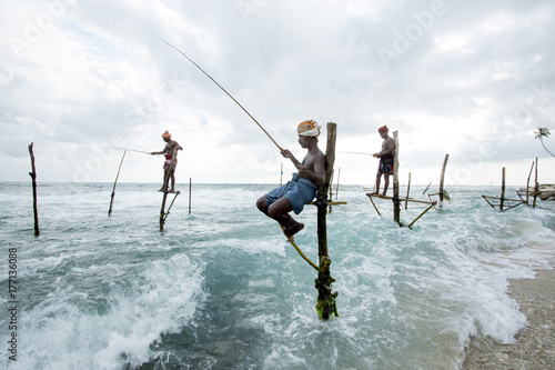Stilt Fishermen. Sri Lanka. photo