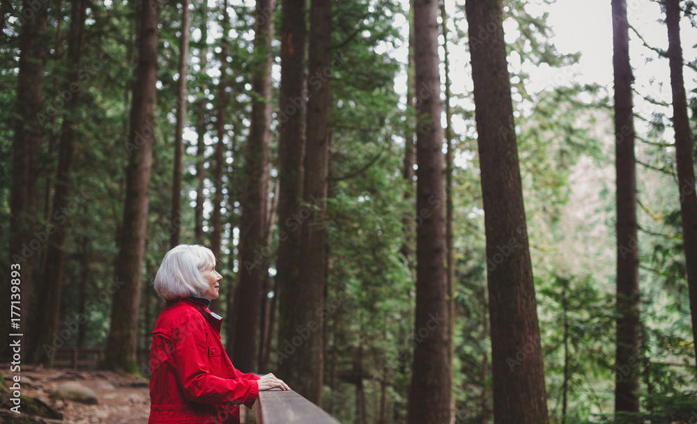 Attractive mature woman looking out on a hike through old growth forest Attractive mature woman looking out on a hike through old growth forest