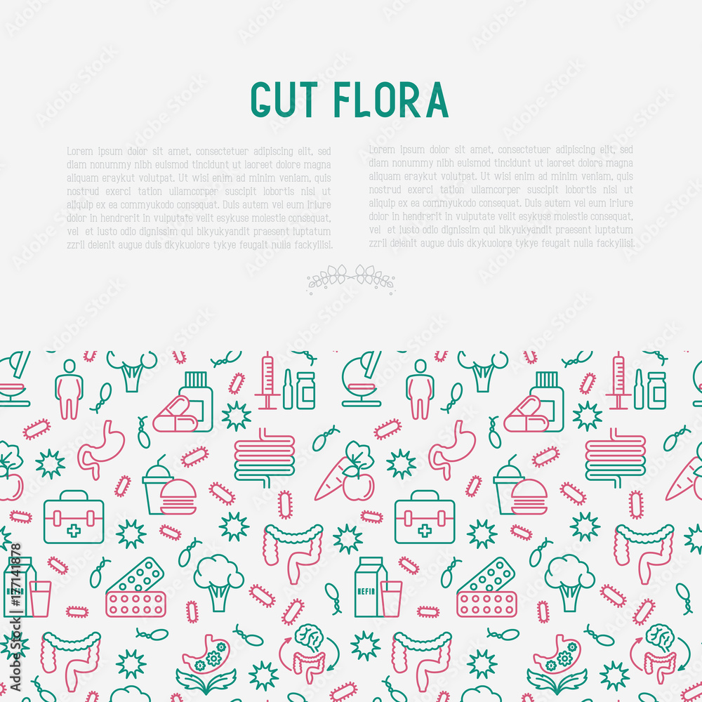 Gut flora concept with thin line icons: gut, bacteria, obesity, stomach, infection, depression, medicine. Vector illustration for medical survey or report. Gut flora concept with thin line icons: gut, bacteria, obesity, stomach, infection, depression, medicine. Vector illustration for medical survey or report.